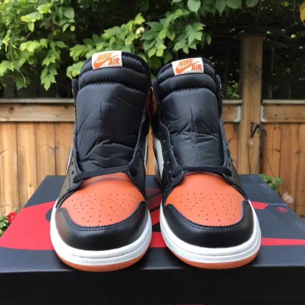 Nike Air Jordan 1 Shattered Backboard Size 8